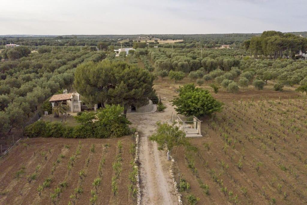 Villa Principe Degli Olivi مارودجو المظهر الخارجي الصورة